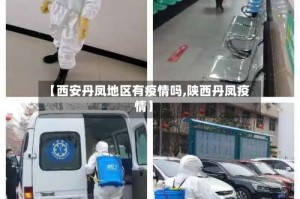 【西安丹凤地区有疫情吗,陕西丹凤疫情】