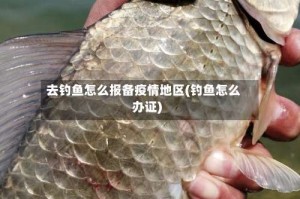 去钓鱼怎么报备疫情地区(钓鱼怎么办证)