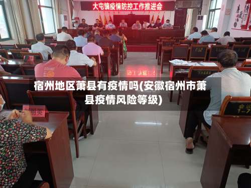 宿州地区萧县有疫情吗(安徽宿州市萧县疫情风险等级)-第1张图片