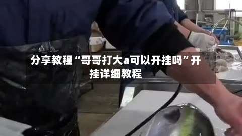 分享教程“哥哥打大a可以开挂吗	”开挂详细教程-第1张图片
