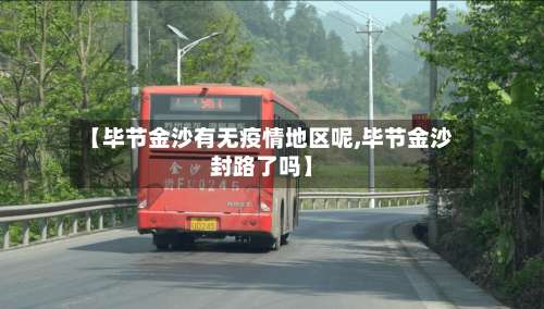 【毕节金沙有无疫情地区呢,毕节金沙封路了吗】-第3张图片