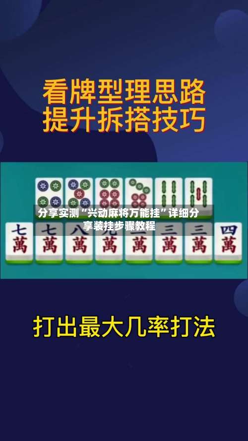 分享实测“兴动麻将万能挂”详细分享装挂步骤教程-第3张图片
