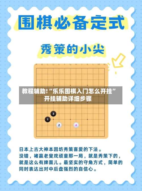 教程辅助!“乐乐围棋入门怎么开挂”开挂辅助详细步骤-第3张图片