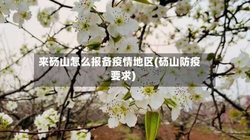 来砀山怎么报备疫情地区(砀山防疫要求)-第1张图片
